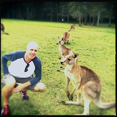 Exploring Sydney - meet the Kangaroos